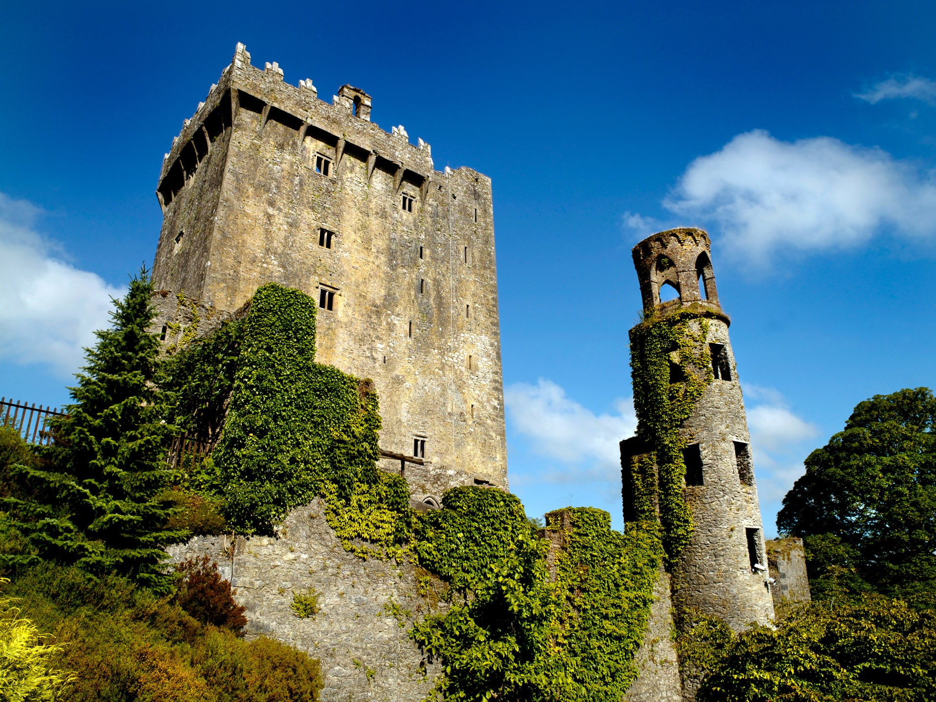 Blarney Castle, Cork