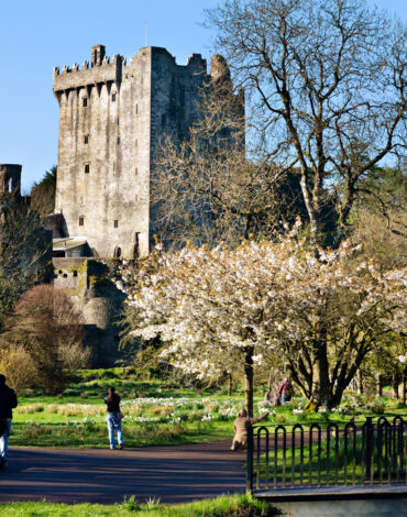 Blarney Castle Co master