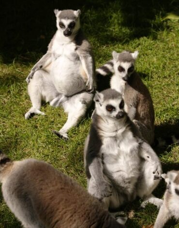 Screenshot 2025 10 04 210808