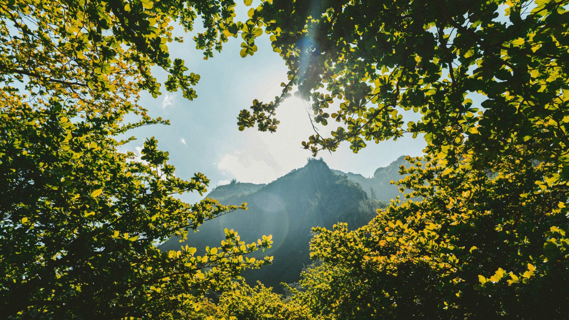 Hero desktop banner single